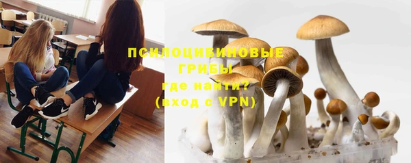 крисы Алексеевка