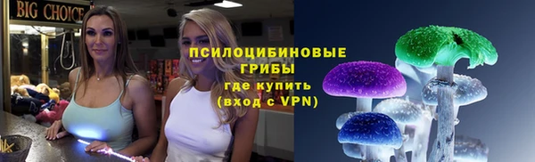 крисы Алексеевка